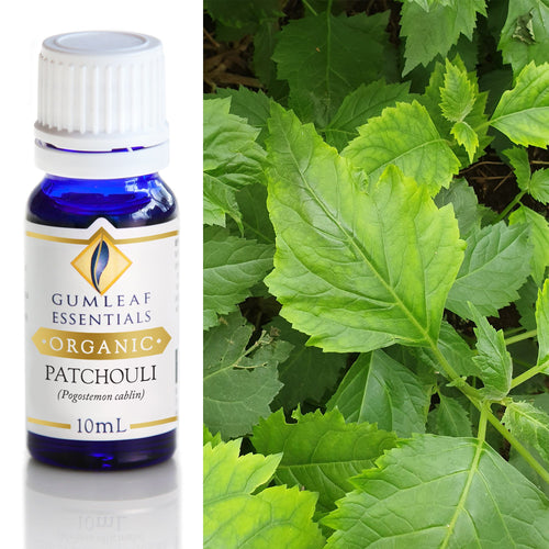 Organic Patchouli Essential Oil