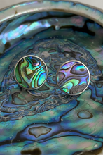 Load image into Gallery viewer, Stud Earrings - 12mm Paua Shell