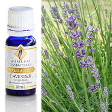 Load image into Gallery viewer, Organic Lavender Bulgarian Essential Oil