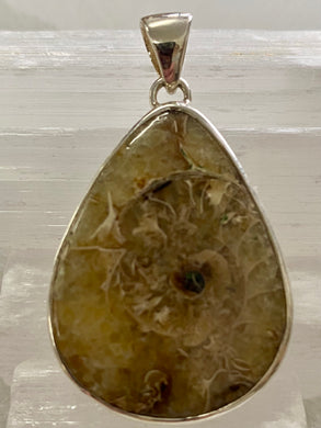 Ammonite Silver Penant