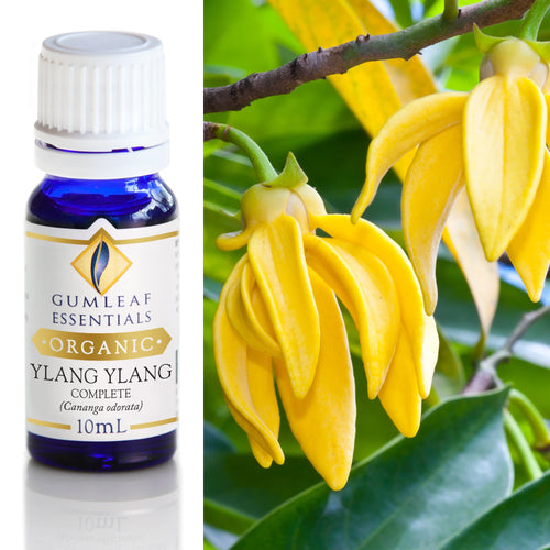 Organic Ylang Ylang Complete Essential Oil