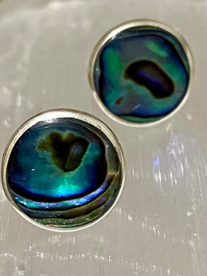 Paua Shell Stud Earrings