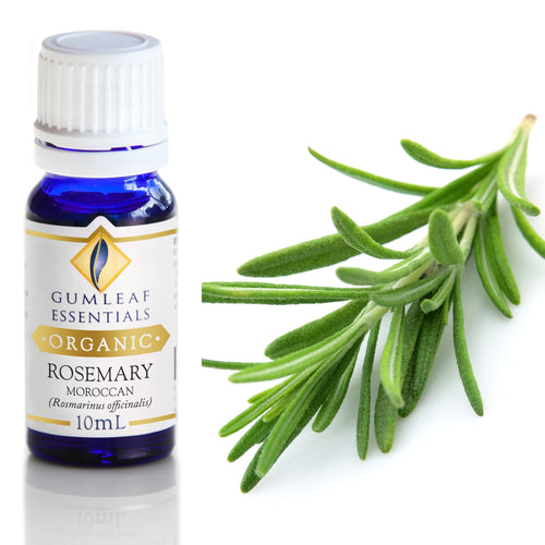 Organic Rosemary Moroccan Essential Oil