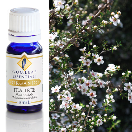 Organic Tea Tree Australian Essential Oil