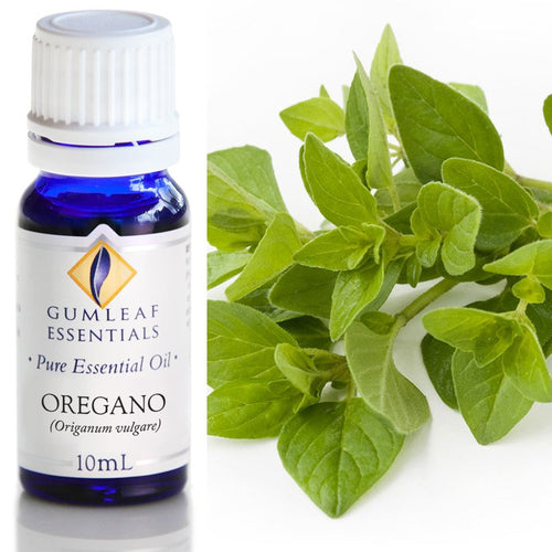 Oregano Essential Oil