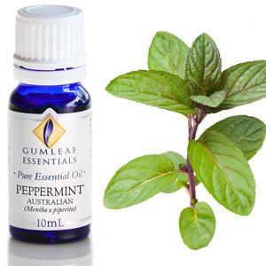 Peppermint Australian Essential Oil