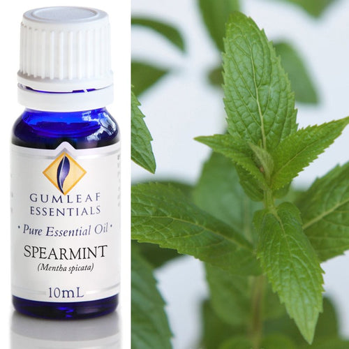 Spearmint Essential Oil