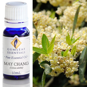 May Chang Essential Oil