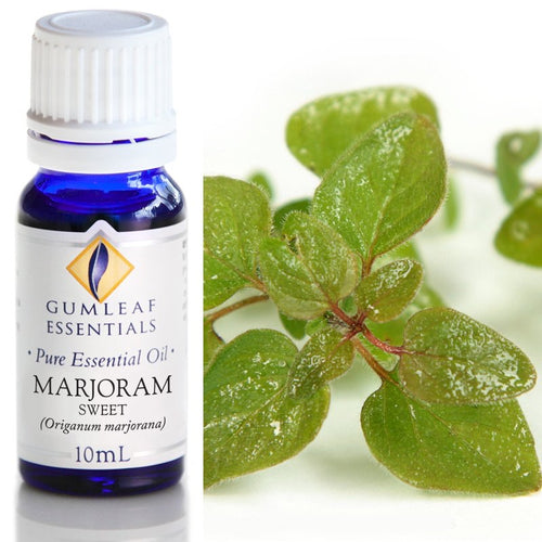 Marjoram Sweet Essential Oil