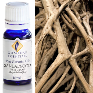 Sandalwood West Indian Essential Oil