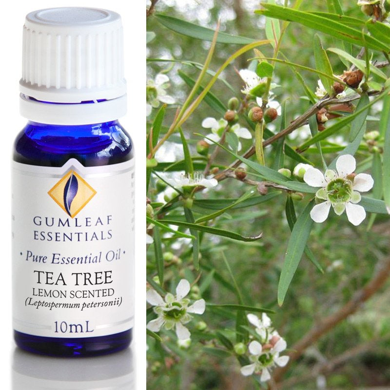 Tea Tree Lemon Scented Essential Oil