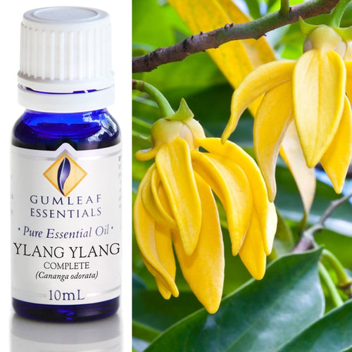 Ylang Ylang Complete Essential Oil