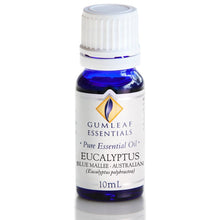 Load image into Gallery viewer, Eucalyptus Blue Mallee Essential Oil