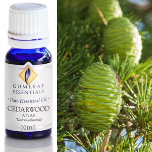 Cedarwood Atlas Essential Oil