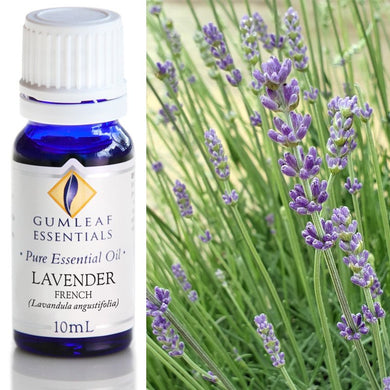 Lavender French Essential Oil