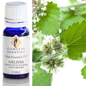 Melissa Lemon Balm (3% In Jojoba) Essential Oil