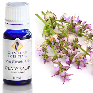 Clary Sage Essential Oil