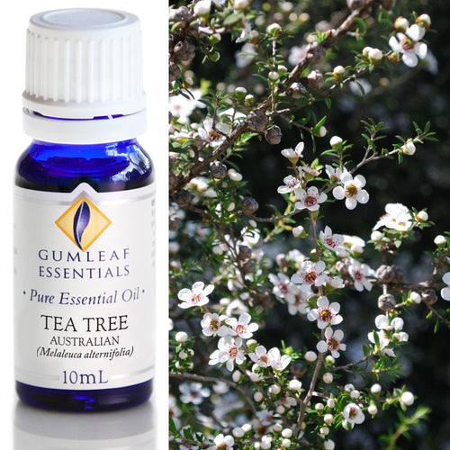 Tea Tree Australian Essential Oil