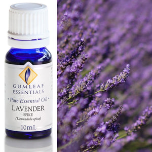 Lavender Spike Essential Oil