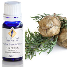 Load image into Gallery viewer, Cypress Provence Essential Oil