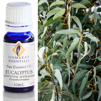 Eucalyptus Lemon Gum Essential Oil