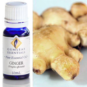 Ginger Essential Oil