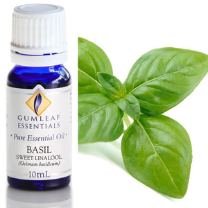 Basil Sweet Linalool Essential Oil