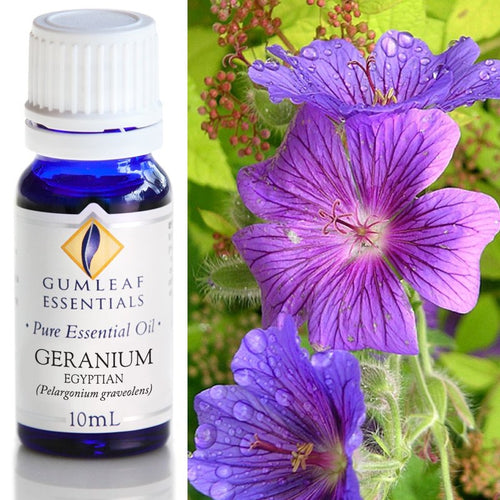 Geranium Egyptian Essential Oil